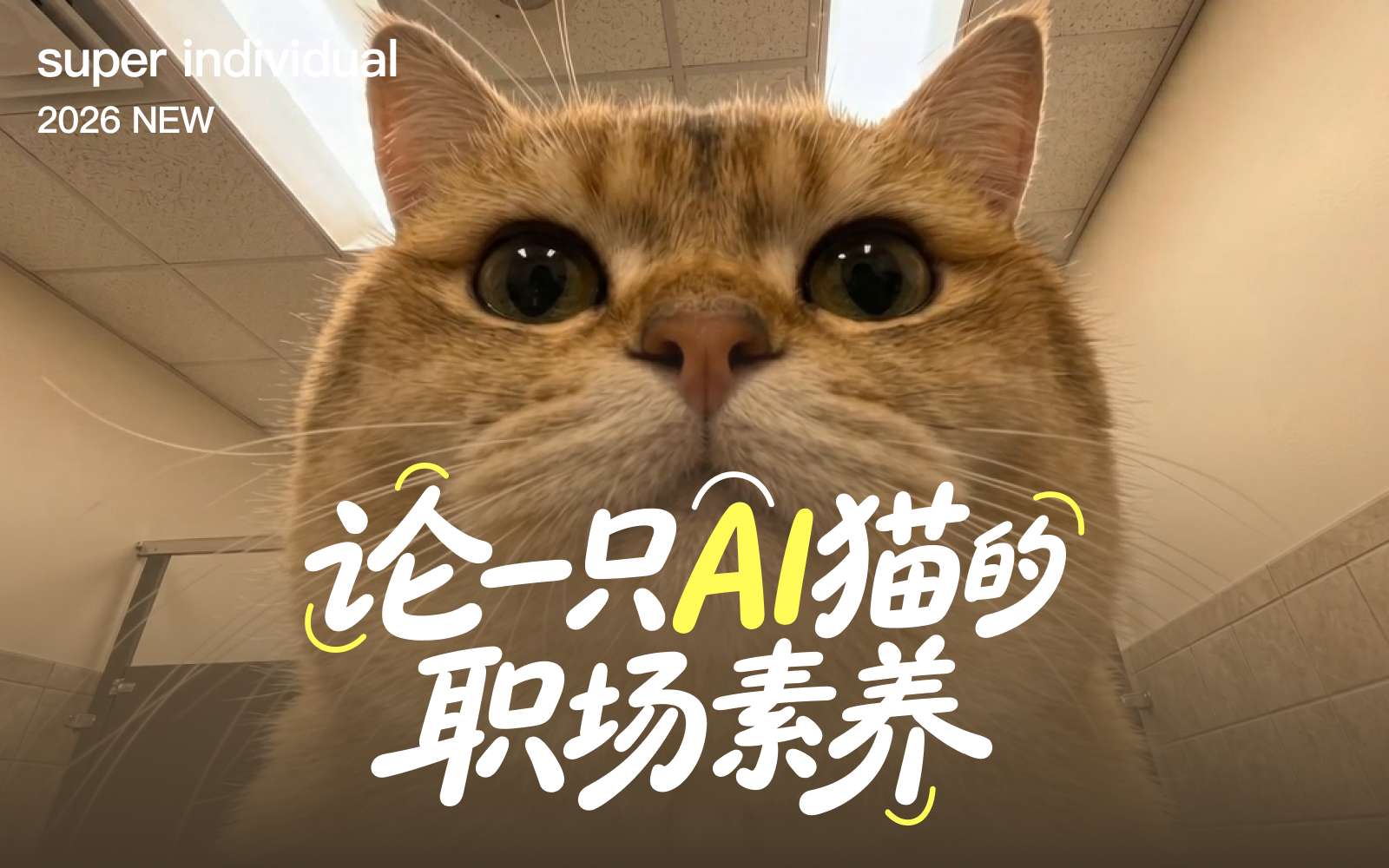 【创意视频】用AI制作专属猫咪Vlog的保姆级图文教程
